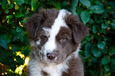 You re Night Whisper