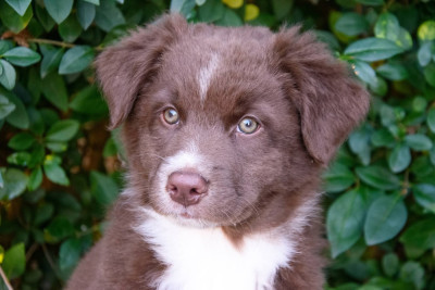 Your Sweet Obsession